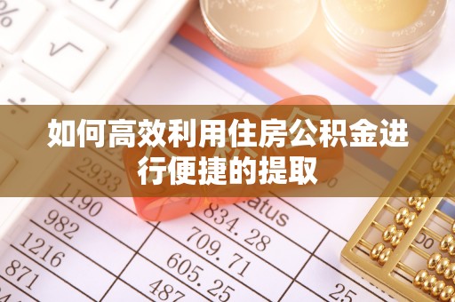 裕民如何高效利用住房公积金进行便捷的提取