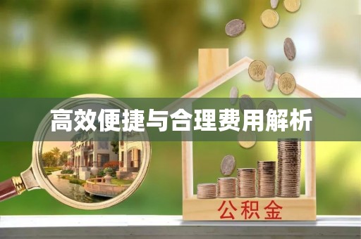 裕民高效便捷与合理费用解析